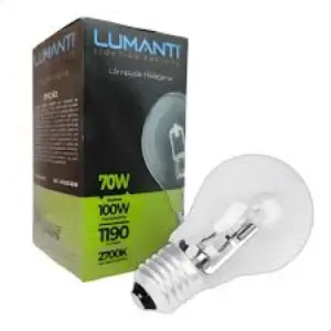 Lampada Halogena Economica H100 70w Bulbo A55 E-27 220v Lumanti