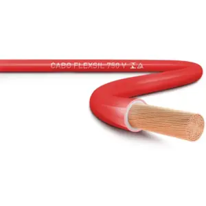 Cabo Flex 1,00mm Bwf-b Cu C5 Nbr247-3 750v Vermelho Rcm/sil